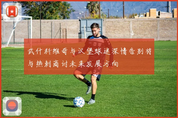 武什科维奇与汉堡球迷深情告别将与热刺商讨未来发展方向