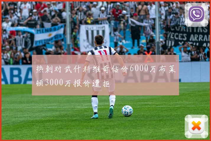 热刺对武什科维奇估价6000万布莱顿3000万报价遭拒